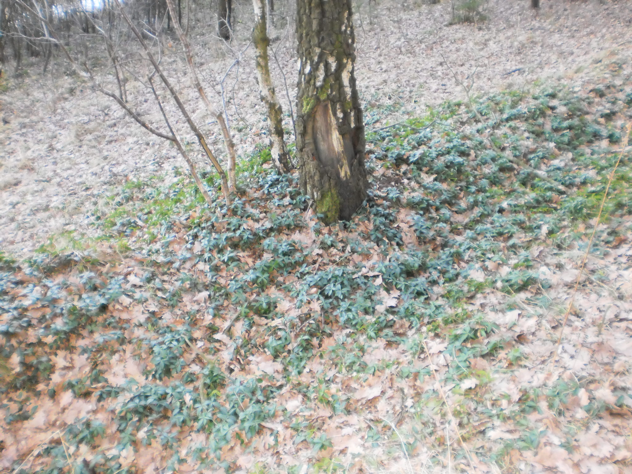 P2080011