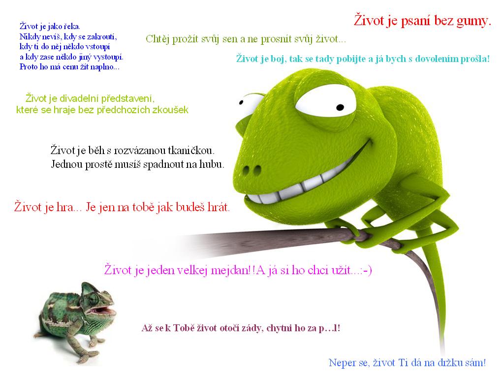 ž.JPG