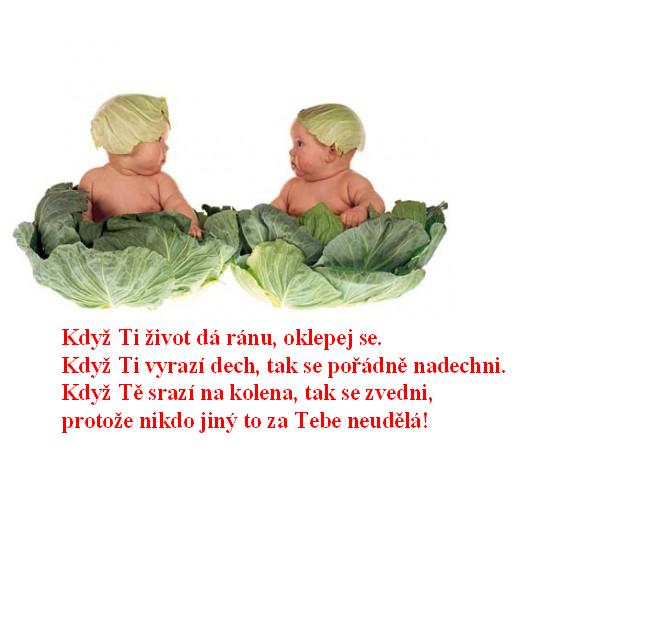 OKLEPEJ SE.JPG